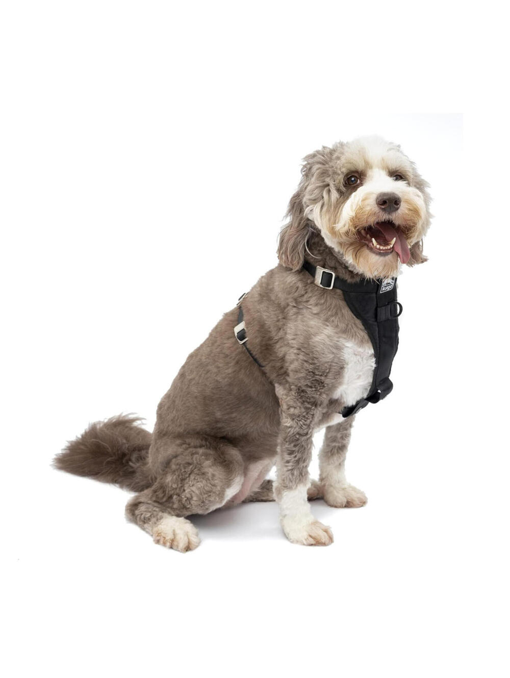 (RGB1)  L (50-80lbs) Kurgo Tru-Fit Smart Dog Harness Crash-Tested Car Safety